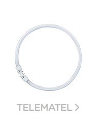 OSRAM - Lámpara LUMILUX FC T5 2GX13 55W/865