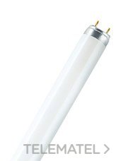 OSRAM - LAMPARA LUMILUX L36/865 36W d.26mm