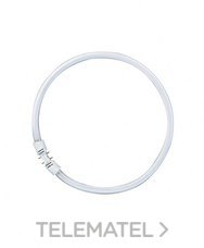 OSRAM - LAMP.LUMILUX-T5 CIRC.FC 22W/827 d.225mm