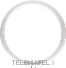 PHILIPS - Fluorescente circular MASTER TL5 diámetro 16mm 60W/840