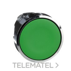 SCHNEIDER ELECTRIC - CABEZA PULS.d.22 RAS.S/PL.VD EMET.
