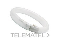 SYLVANIA - LAMP.LUXLINE CIRC.FC22W/865 T9 G10Q