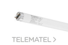 SYLVANIA - LAMP.LUXLINE-PLUS F30W/865 T-8 G13