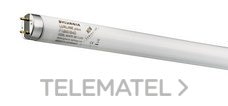 SYLVANIA - LAMPARA LUXLINE-PLUS F36W/860 BULBO T-8