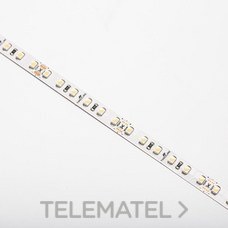 THREELINE - TIRA FLEX.RO.5m 600 leds/IP20 24V BLC.